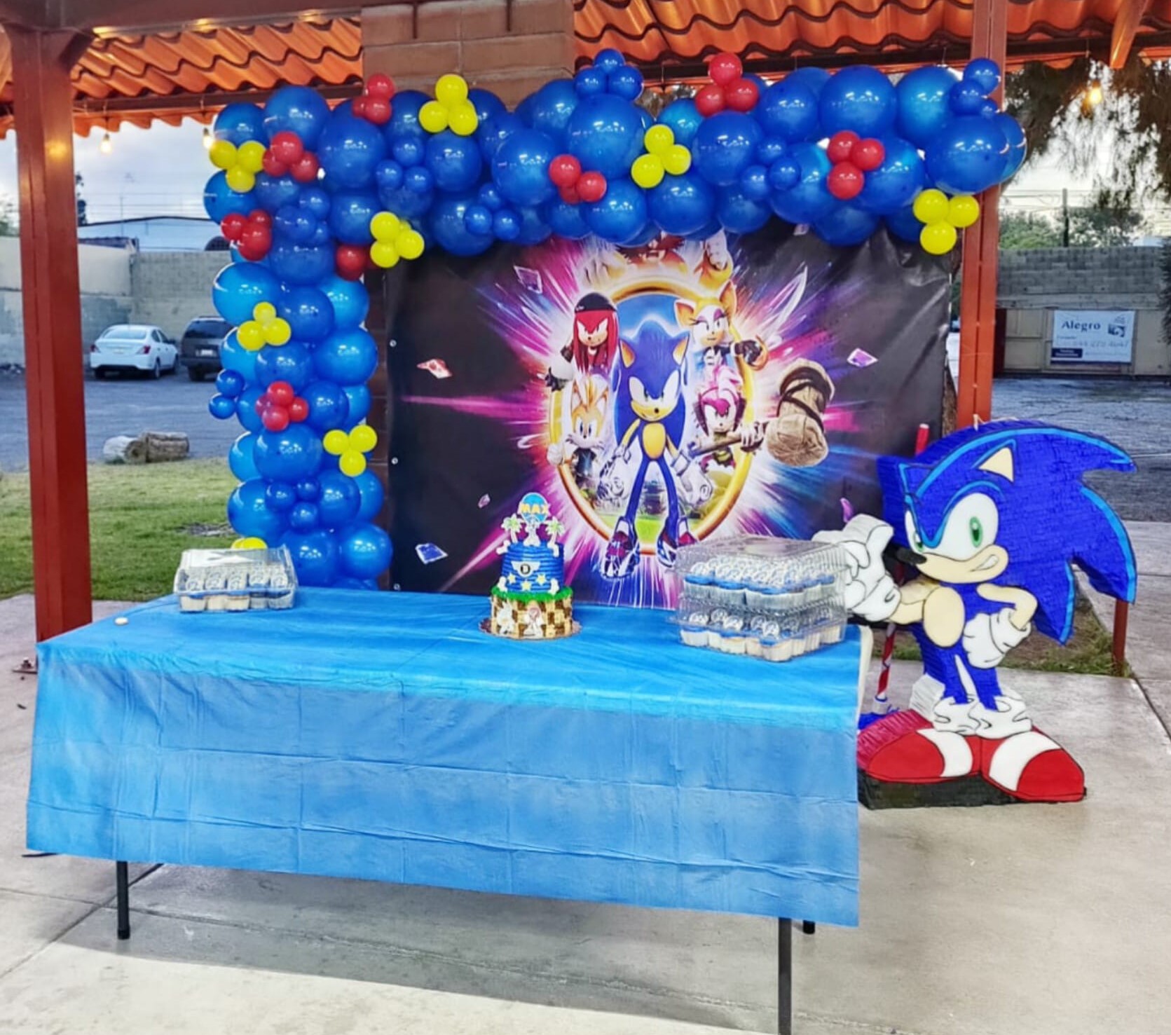 2m x 2m Sonic