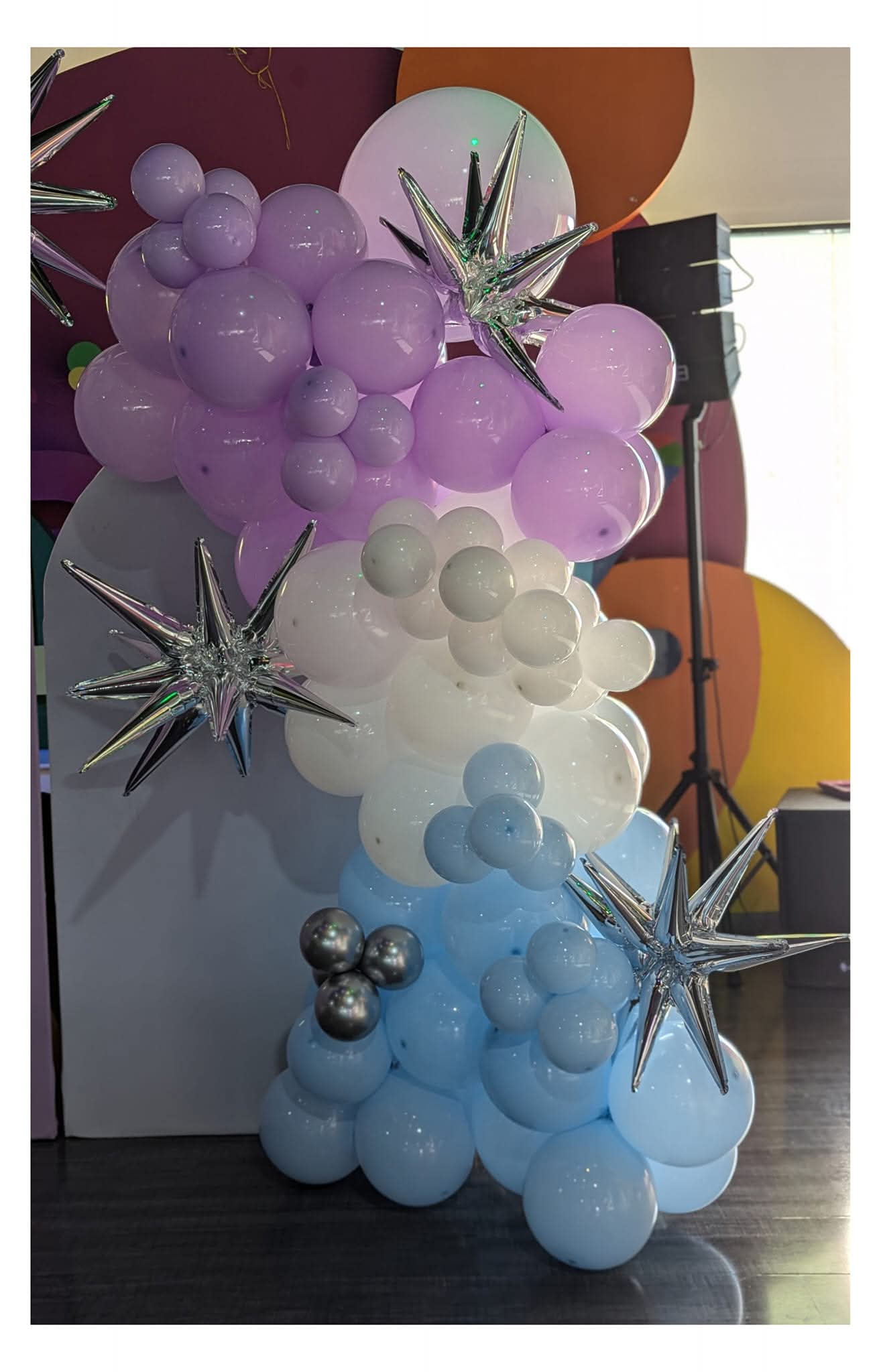 Una Mampara Frozen 1x2m